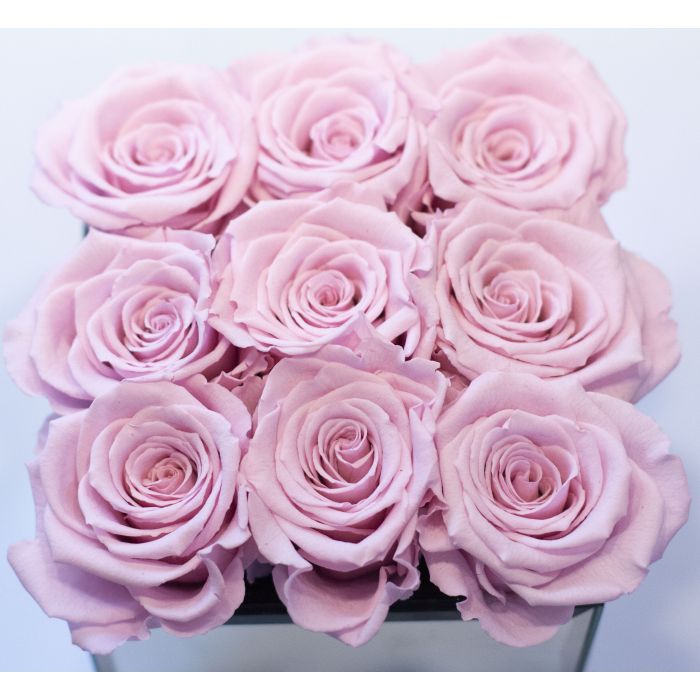 NINE PALE PINK FREEZE DRIED ROSES - FLOWERS CORNER