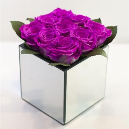 NINE HOT PINK FREEZE DRIED ROSES