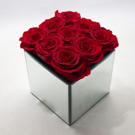 NINE RED FREEZE DRIED ROSES